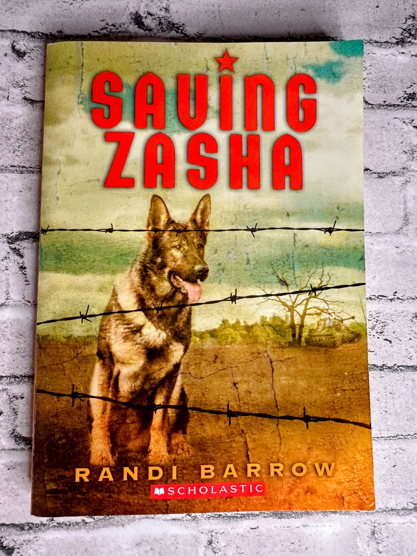 “Saving Zasha” Chapter Book