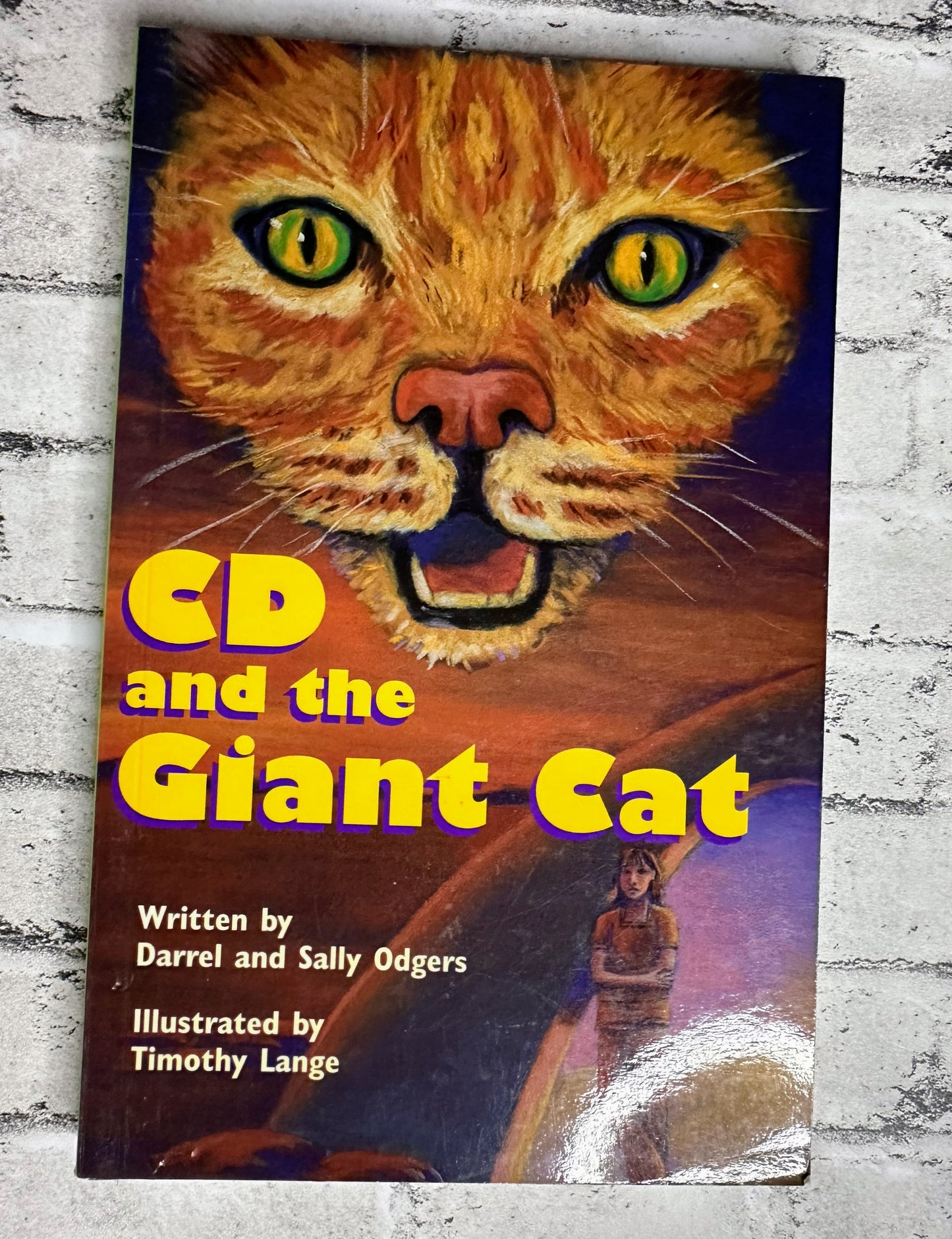 “CD and the Giant Cat” Chapter Book