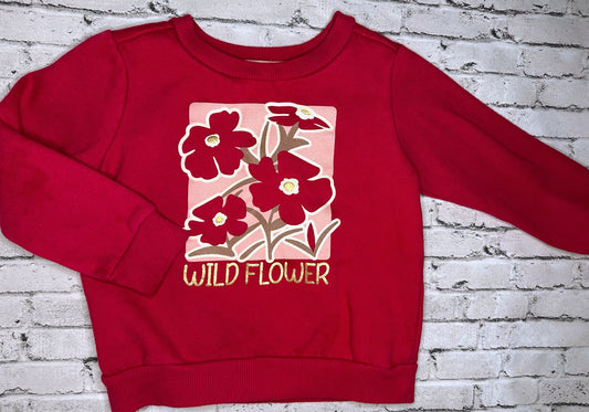 Falls Creek: “Wildflower” Pullover- 24m