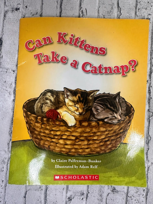 “Can Kittens Take a Catnap?” Book