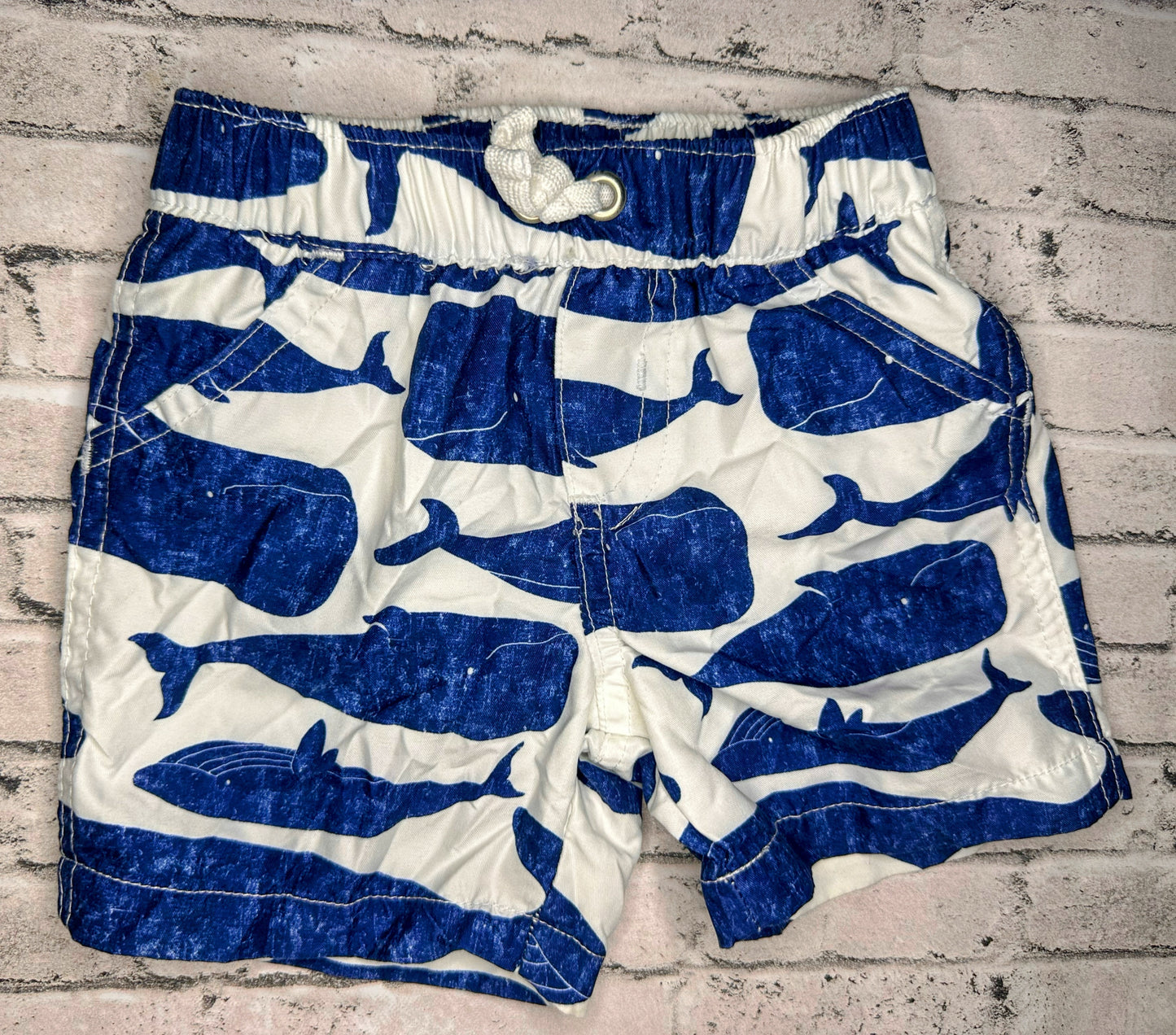 Carter’s: Whale Swim Shorts- 9m