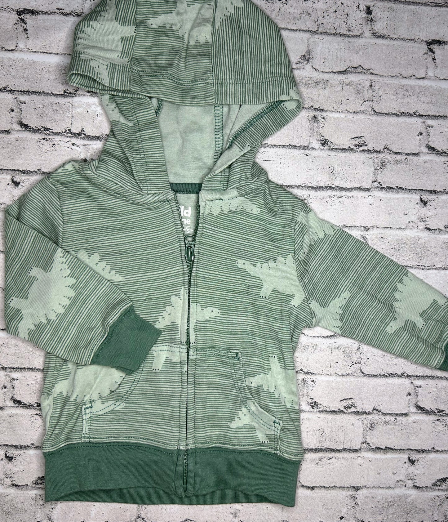 Child of Mien: Green Dino Hoodie - 0/3m