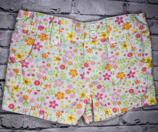 Falls Creek: Floral Denim Shorts- 2T