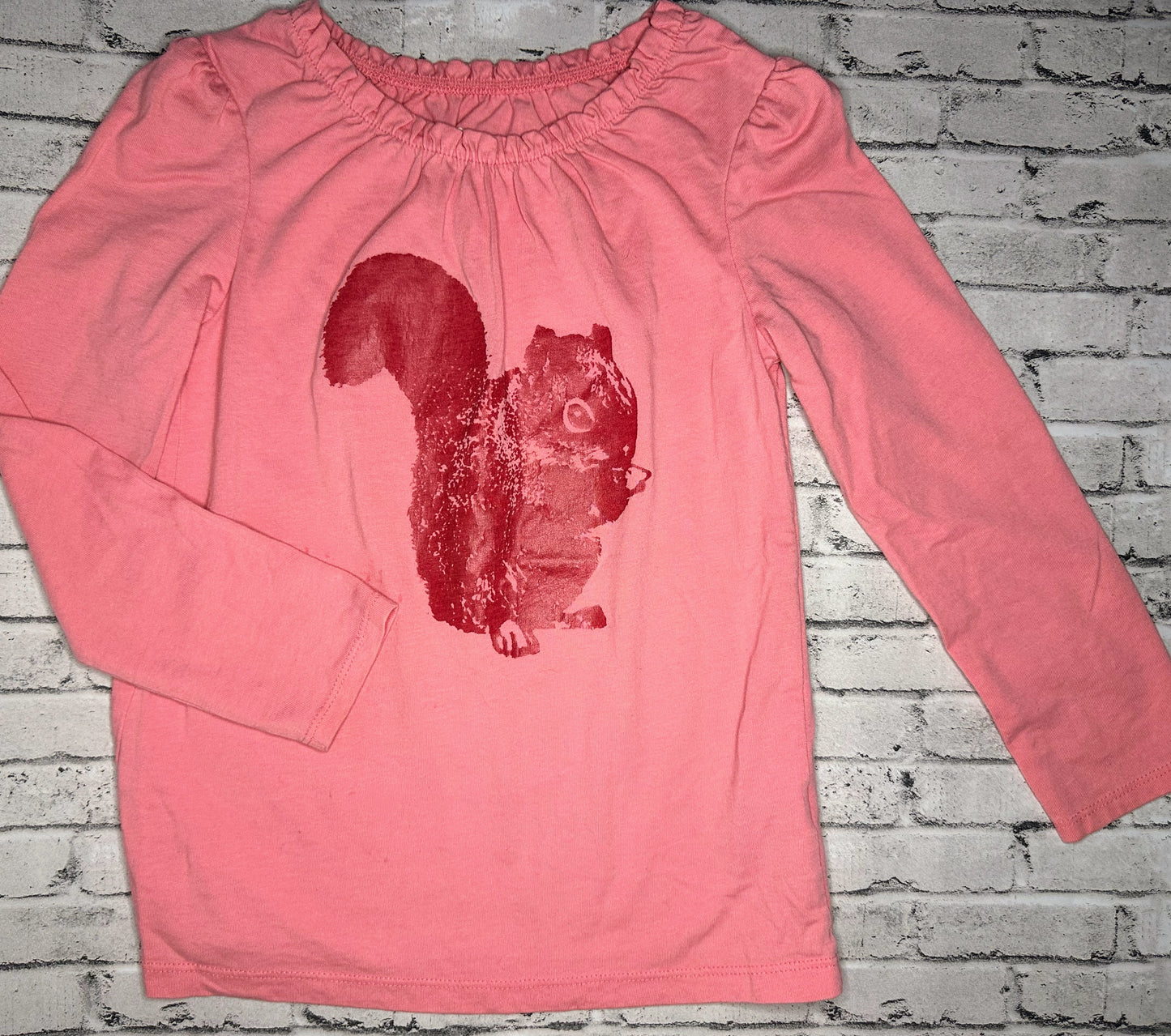 Circo: Squirrel Long Sleeve - 5T