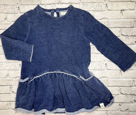 Burt's Bee's Baby: Navy Ruffle Dress - 12m