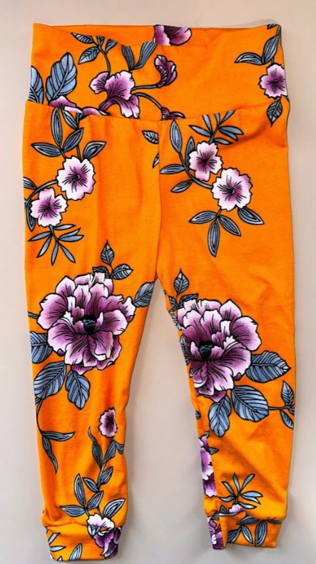 Bakken Babes: Orange Floral Boutique Pants- 18/24m