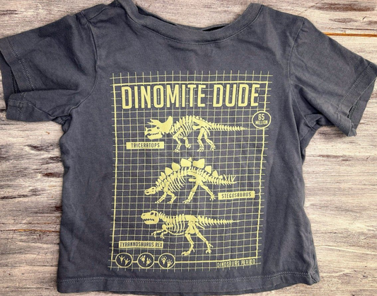 Tumble Road: 'Dinomite Dude' Graphic Tee- 2T